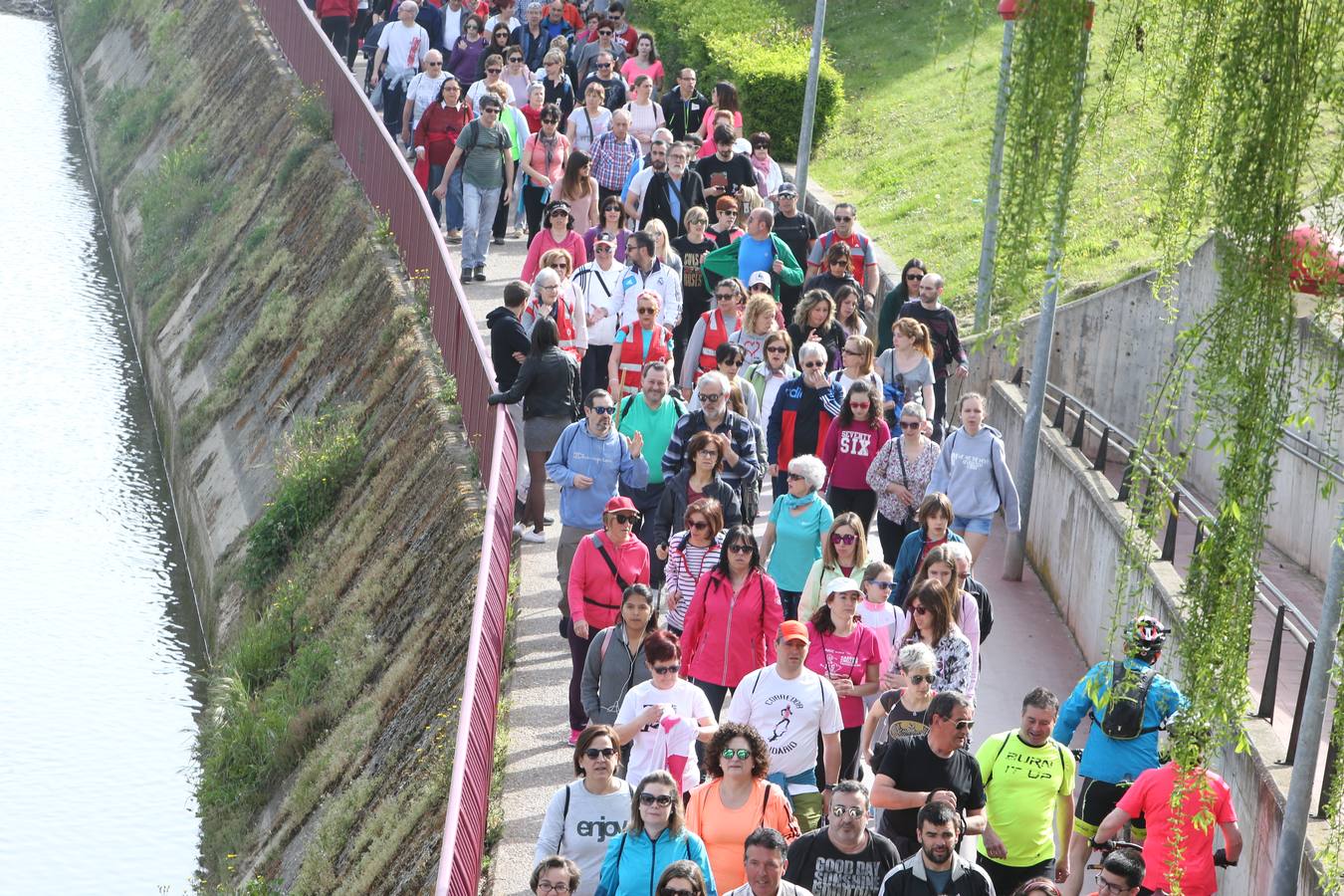 1.400 personas han participado en el tercer Paseo Saludable con destino el Monte Cantabria.