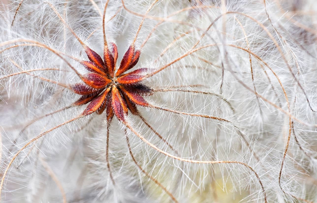 'Climatis' | Javier García Escribano.