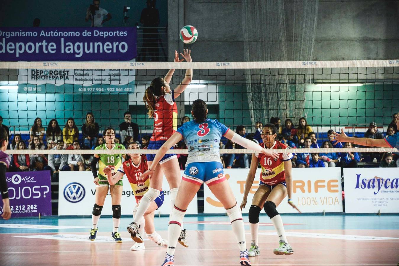 Fotos: El Minis de Arluy consigue su quinta Superliga consecutiva