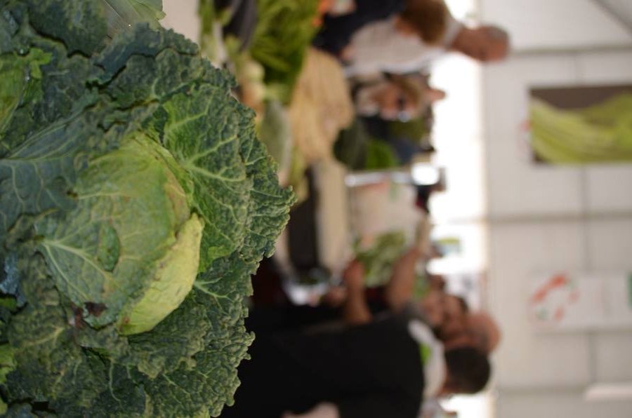 Fotos: Mercado de la verdura de Calahorra