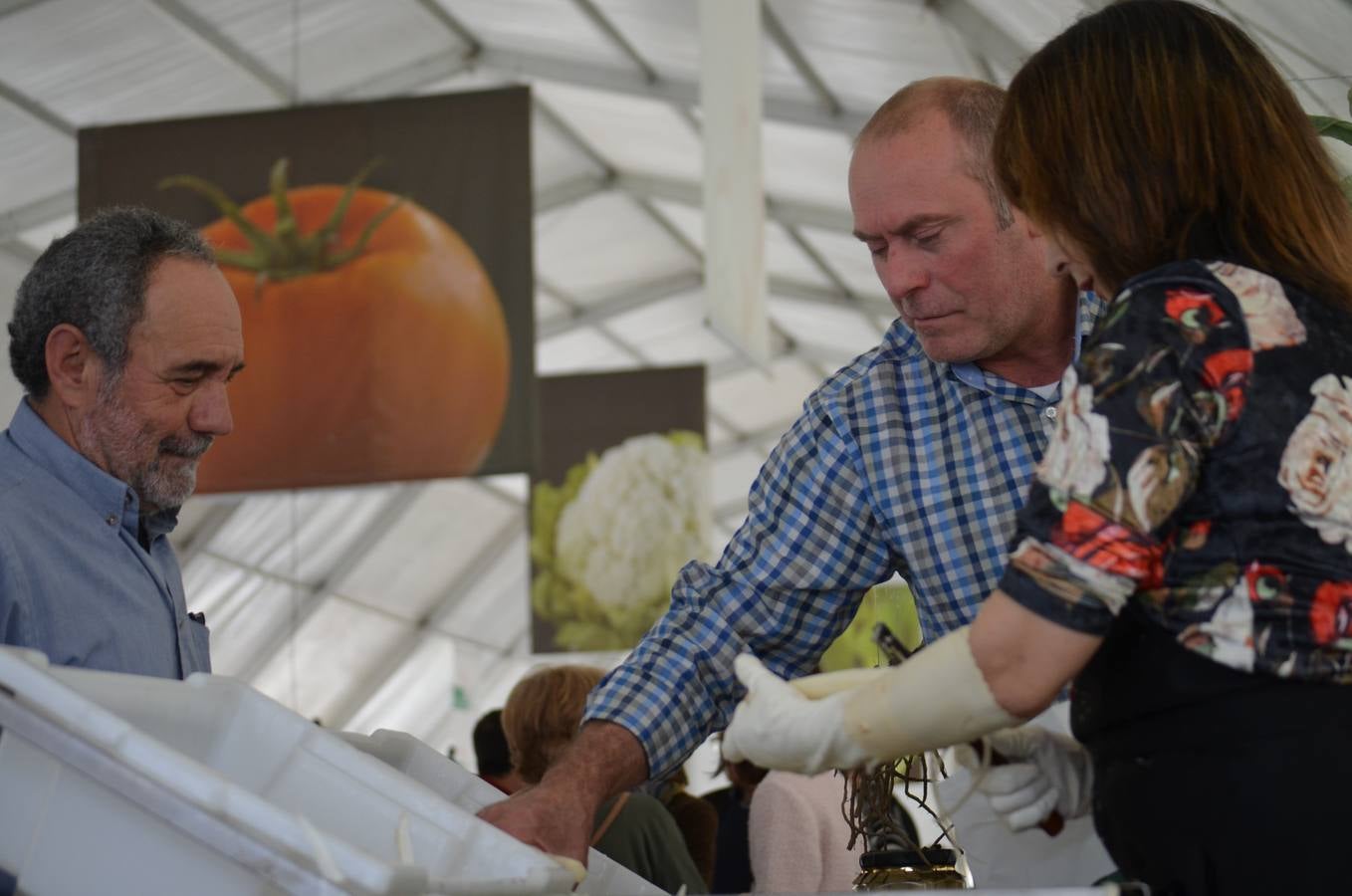 Fotos: Mercado de la verdura de Calahorra