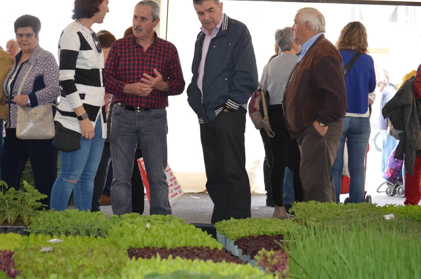 Fotos: Mercado de la verdura de Calahorra