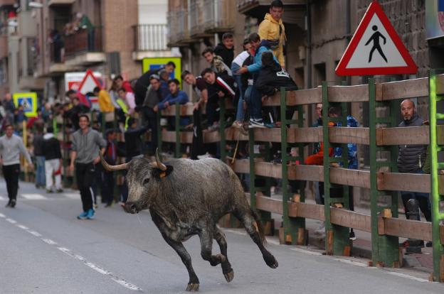 Encierro en Quel. :: s.s.j.