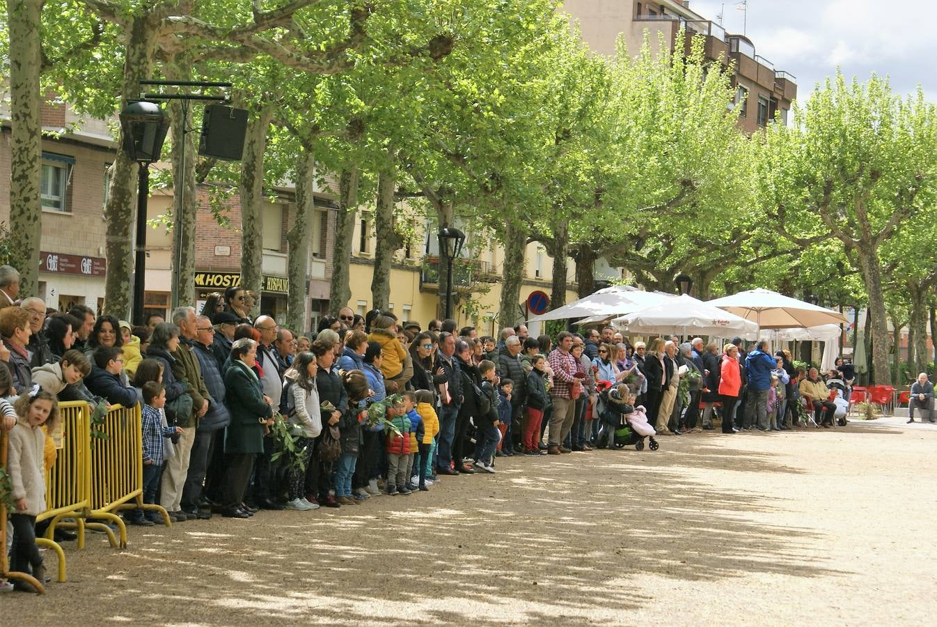 Fotos: Aclamación y pregón en Nájera