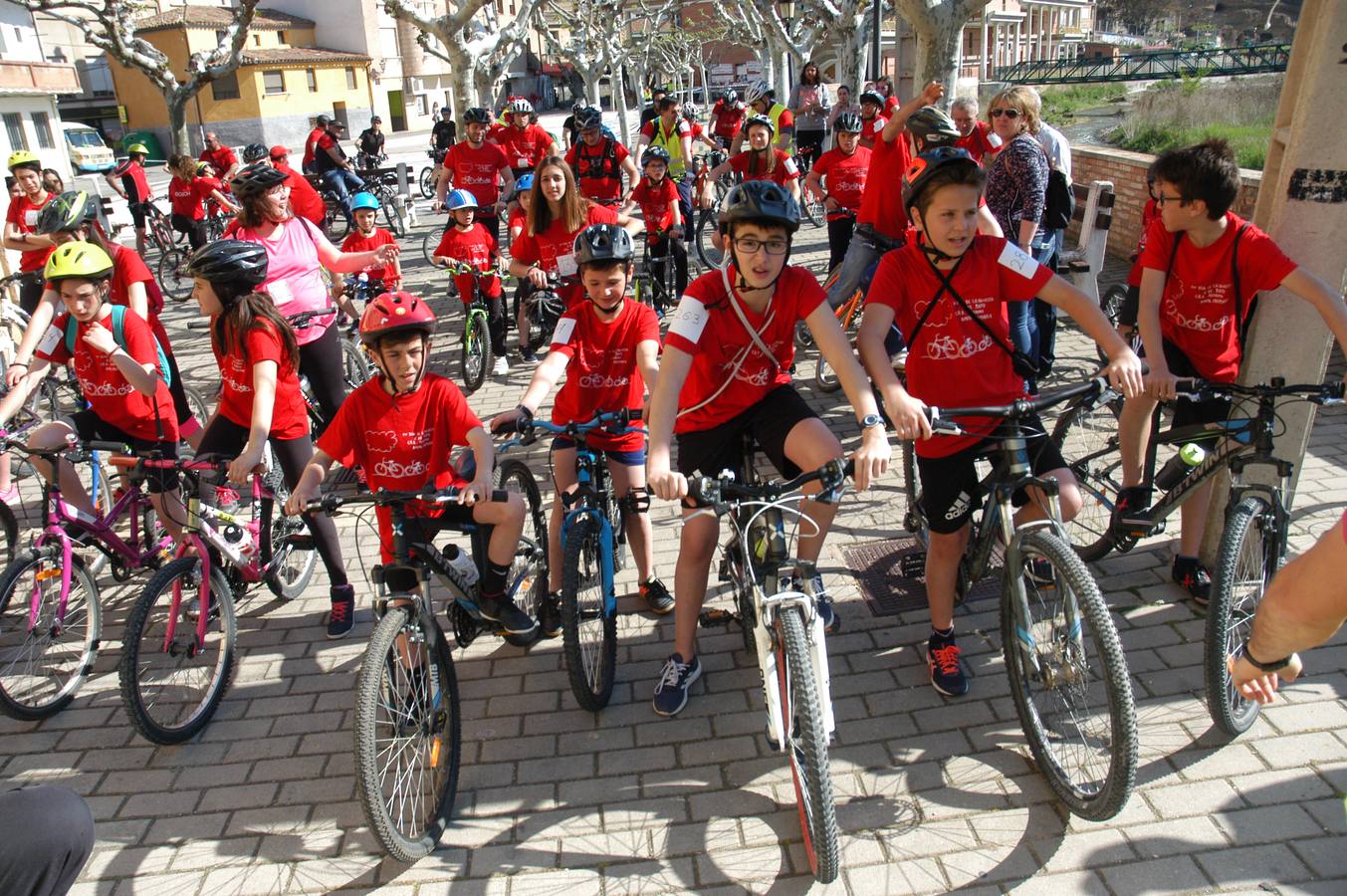 386 cicilistas participaron en el décimo quinto Día de la Bicicleta de Cervera, organizado por la AMPA de Primaria.