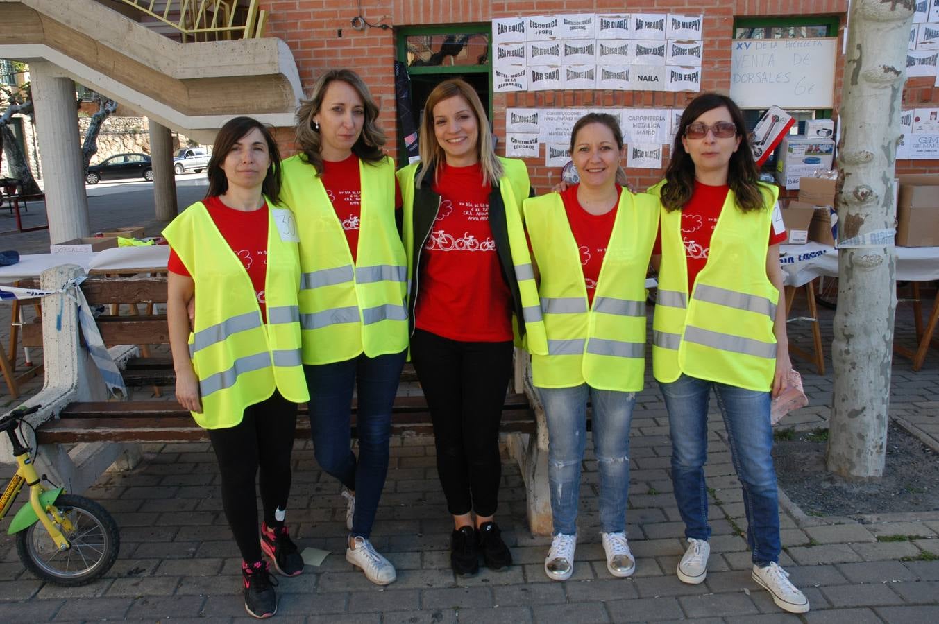 386 cicilistas participaron en el décimo quinto Día de la Bicicleta de Cervera, organizado por la AMPA de Primaria.