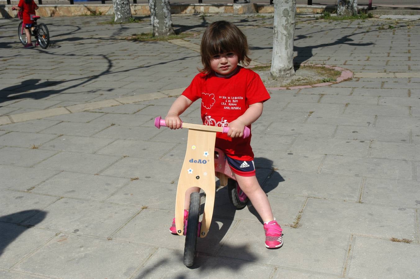 386 cicilistas participaron en el décimo quinto Día de la Bicicleta de Cervera, organizado por la AMPA de Primaria.