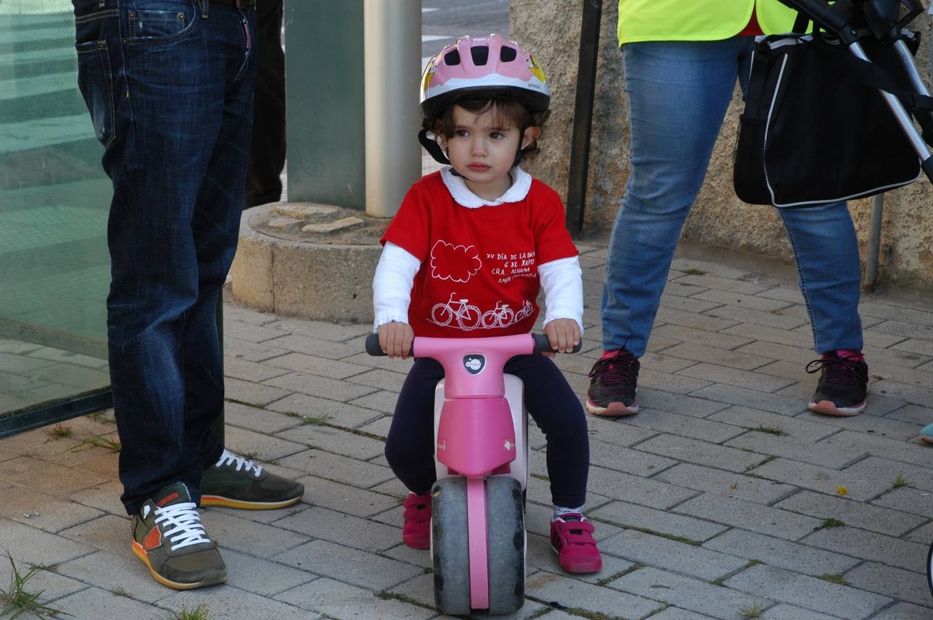 386 cicilistas participaron en el décimo quinto Día de la Bicicleta de Cervera, organizado por la AMPA de Primaria.