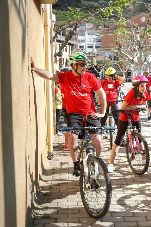 386 cicilistas participaron en el décimo quinto Día de la Bicicleta de Cervera, organizado por la AMPA de Primaria.