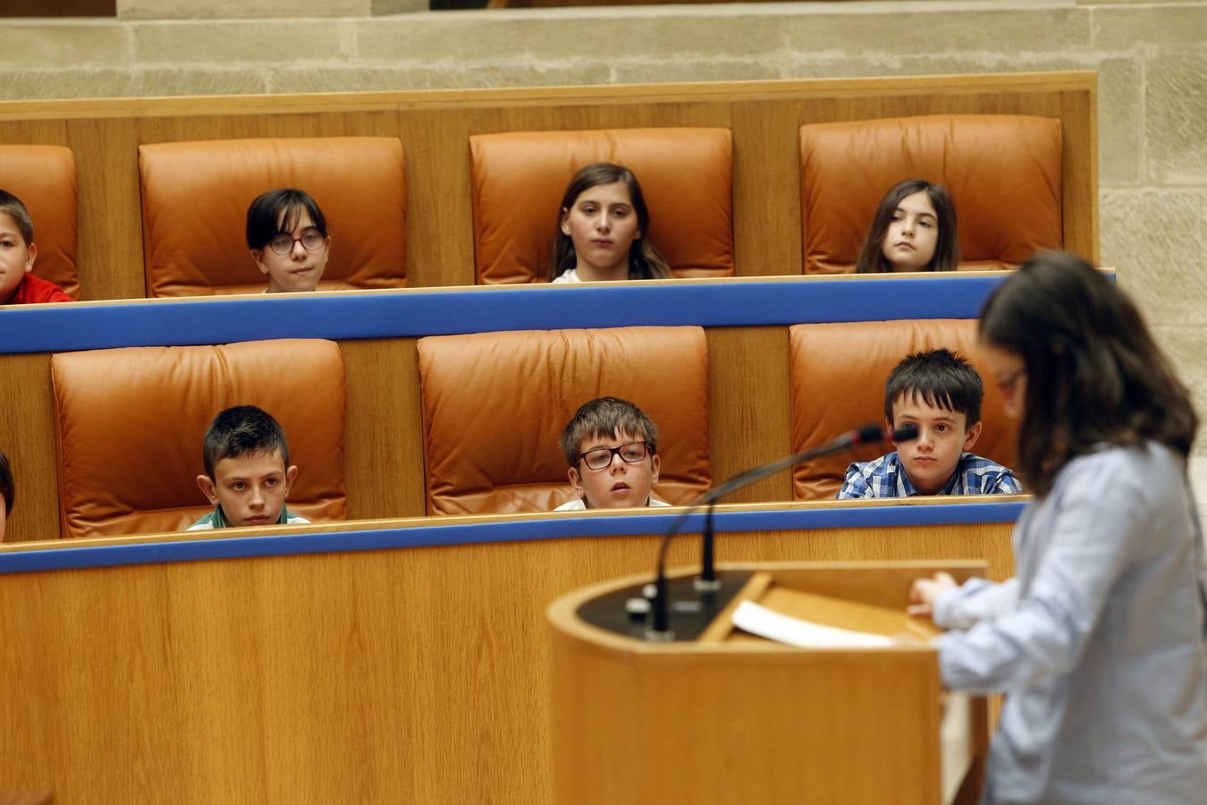 La presidenta del Parlamento de La Rioja, Ana Lourdes González, ha apelado hoy a la necesidad de trabajar en valores como la tolerancia, la compresión, el respeto y la convivencia para fomentar y aumentar la confianza. González ha presidido el Pleno infantil «Diputados por un día», organizada por Aldeas Infantiles y en la que han participado 44 alumnos de Haro y Moncalvillo, cita la agencia Efe en un comunicado.