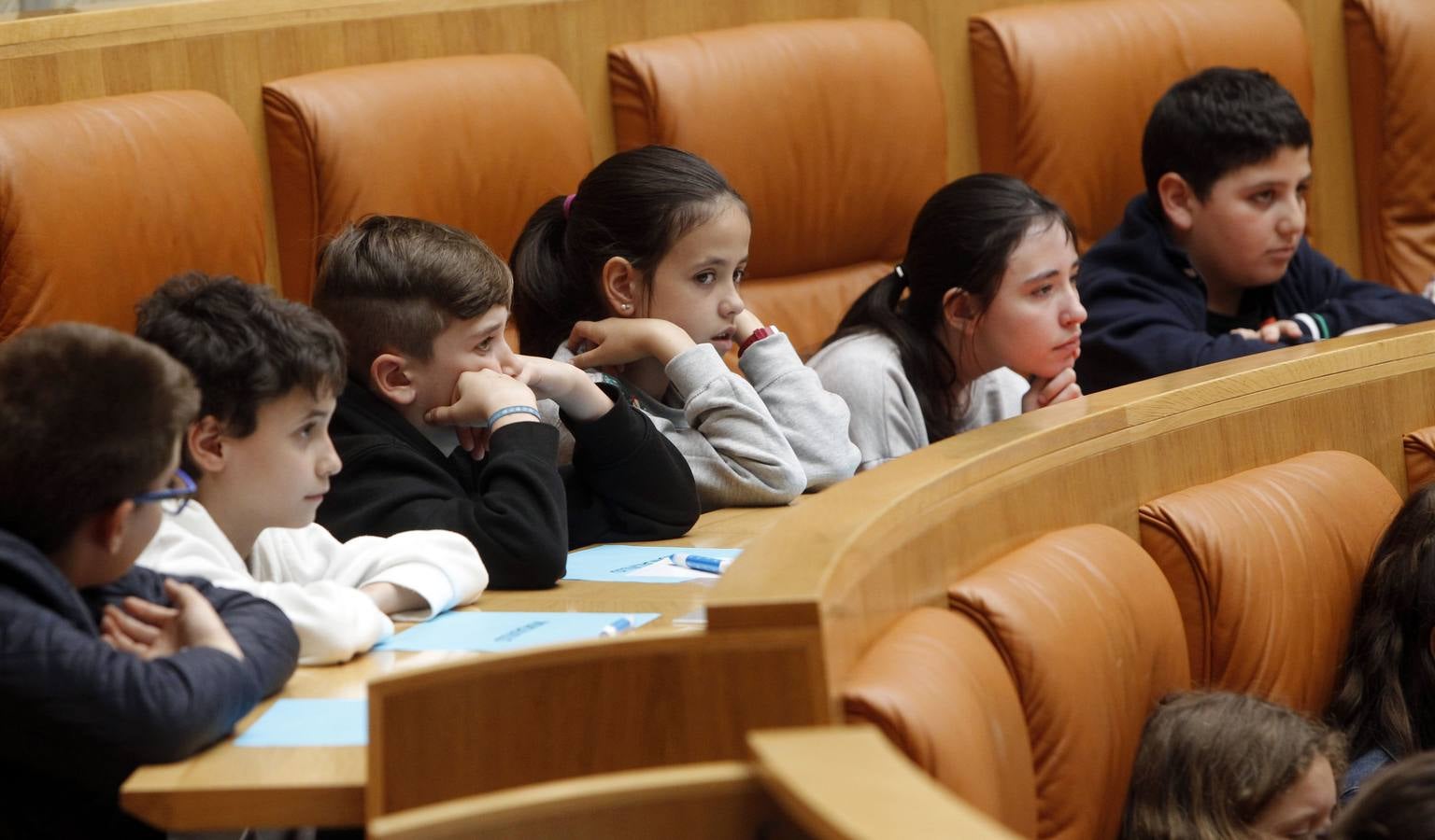 La presidenta del Parlamento de La Rioja, Ana Lourdes González, ha apelado hoy a la necesidad de trabajar en valores como la tolerancia, la compresión, el respeto y la convivencia para fomentar y aumentar la confianza. González ha presidido el Pleno infantil «Diputados por un día», organizada por Aldeas Infantiles y en la que han participado 44 alumnos de Haro y Moncalvillo, cita la agencia Efe en un comunicado.