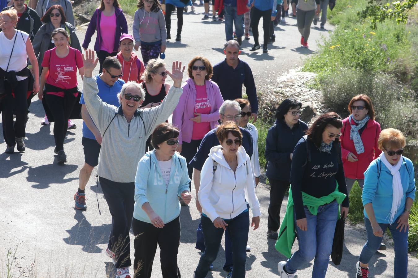 1.200 personas participaron en el útimo Paseo Saludable, un recorrido de doce kilómetros al mirador de los viñedos, a medio camino entre Logroño y El Cortijo.