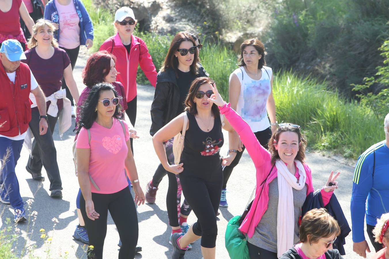 1.200 personas participaron en el útimo Paseo Saludable, un recorrido de doce kilómetros al mirador de los viñedos, a medio camino entre Logroño y El Cortijo.