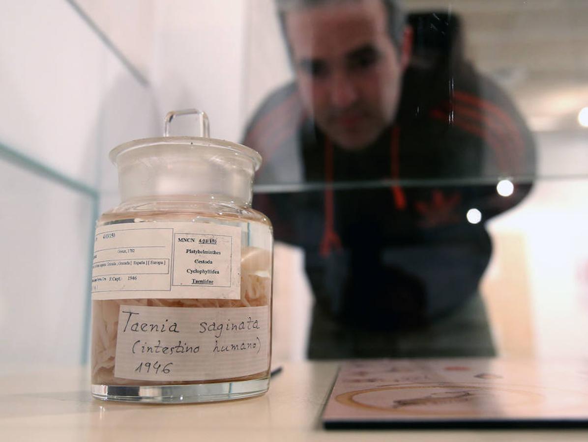 La Casa de las Ciencias propone la exposición 'Excreta', una propuesta que ahonda en el detritus urbano y en la capaidad de reciclaje de las deposiciones del hombre en las ciudades como las animales en el medio natural.