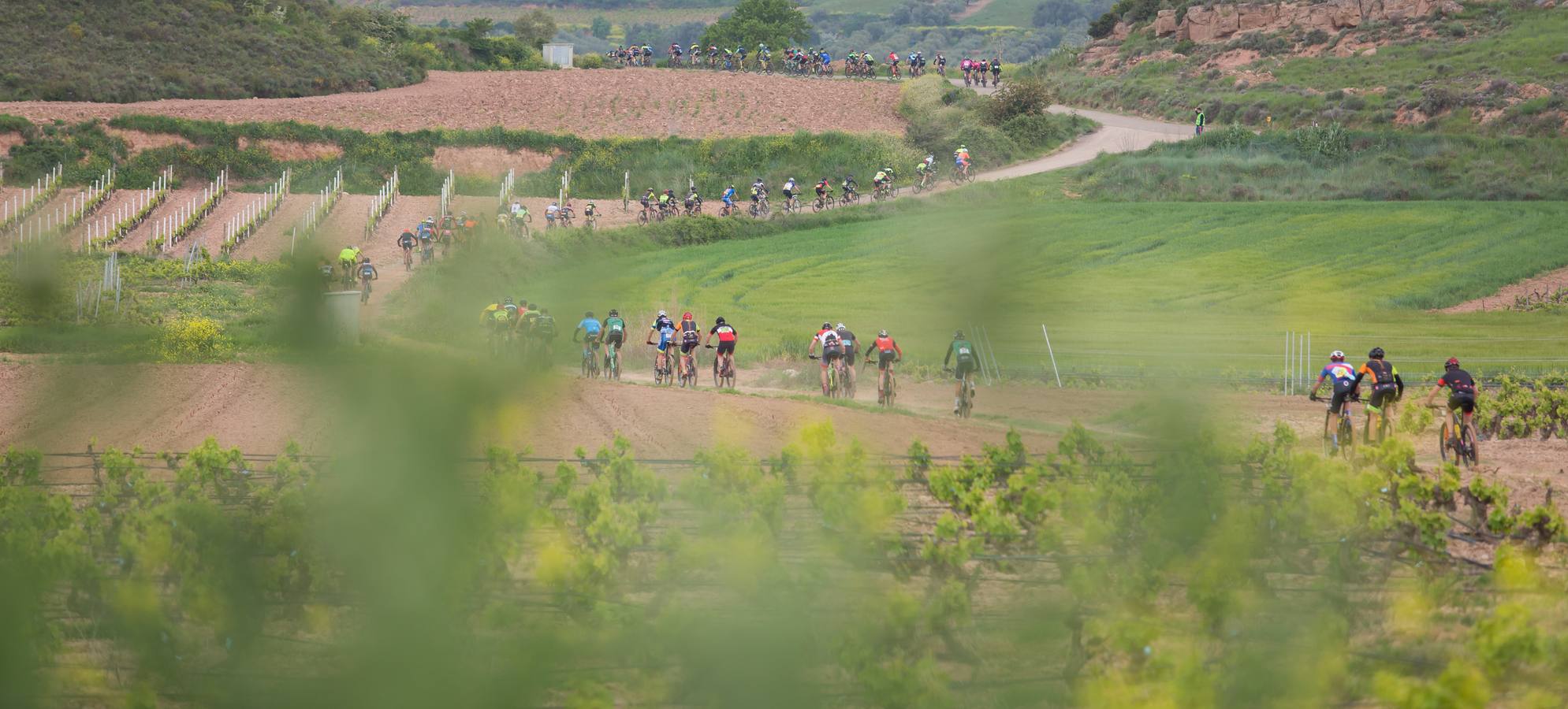 Los ciclistas, a su paso por Entrena.