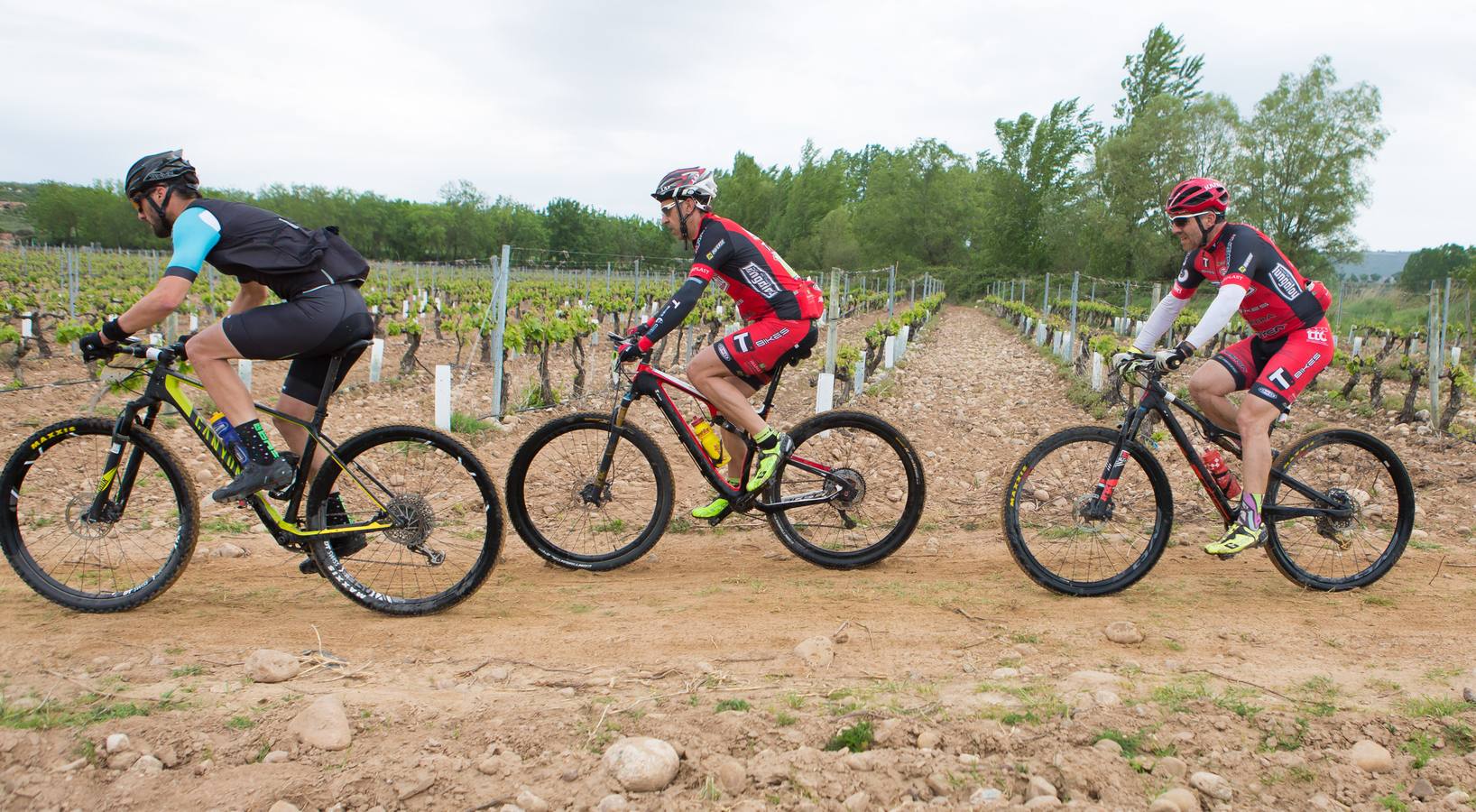 Los ciclistas, a su paso por Entrena.