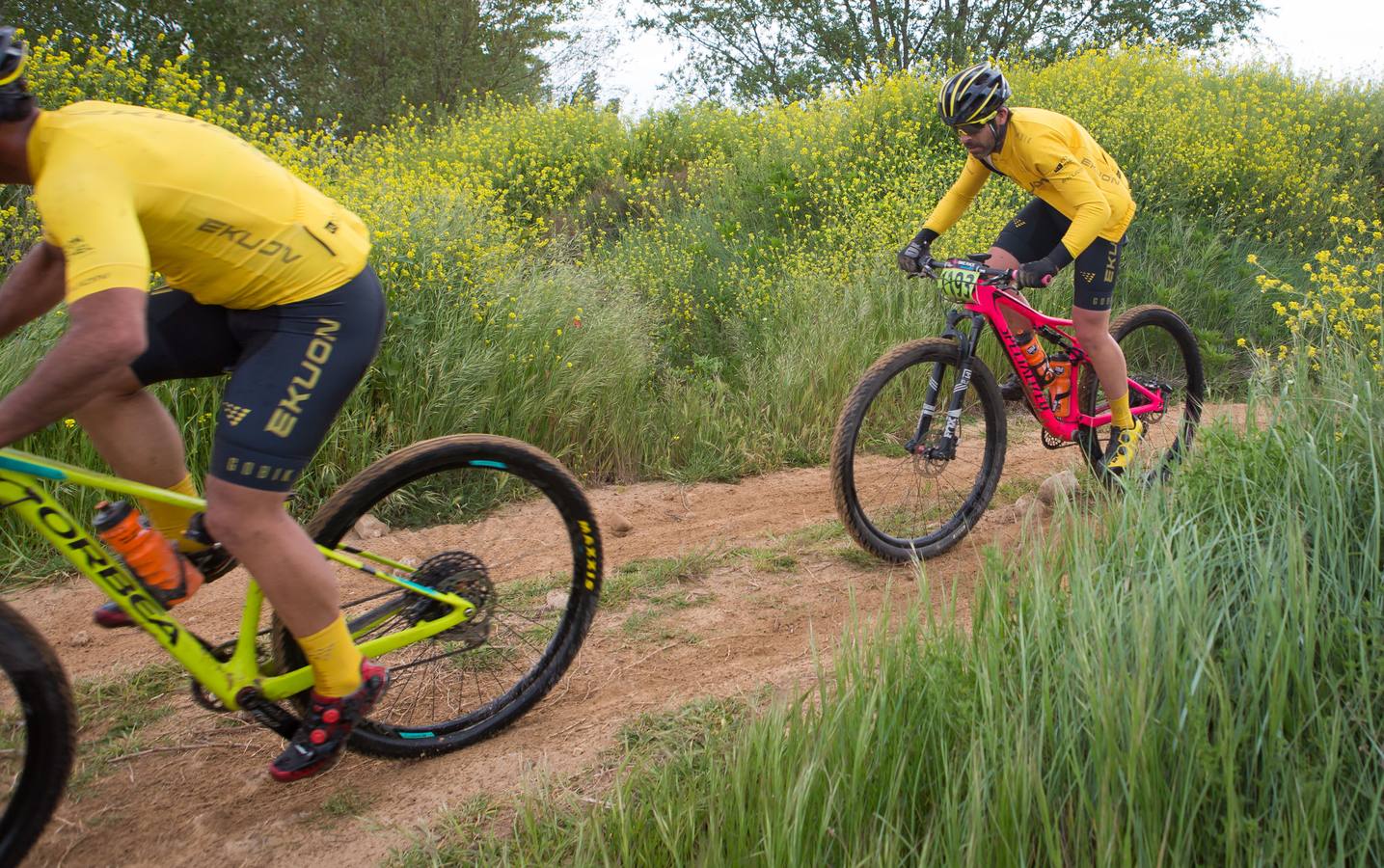 Los ciclistas, a su paso por Entrena.