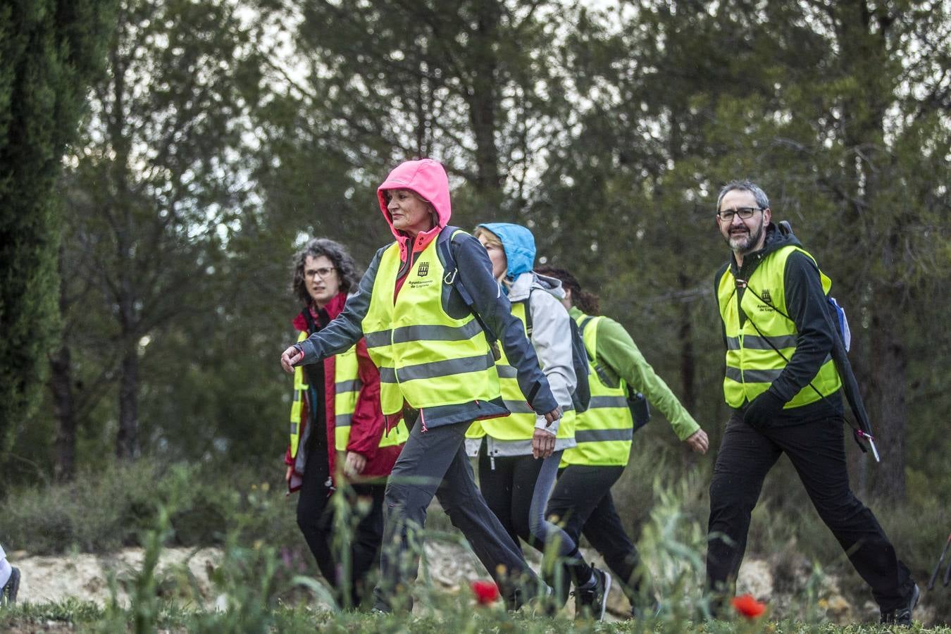 Seiscientas personas han cubierto esta noche los 63 kilómetros de Valvanera Camina.