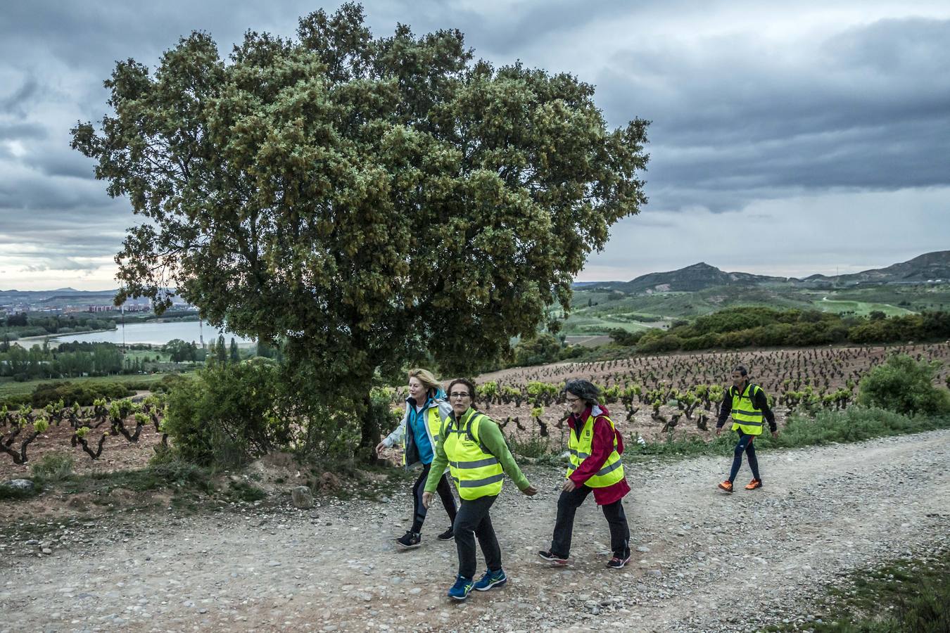 Seiscientas personas han cubierto esta noche los 63 kilómetros de Valvanera Camina.