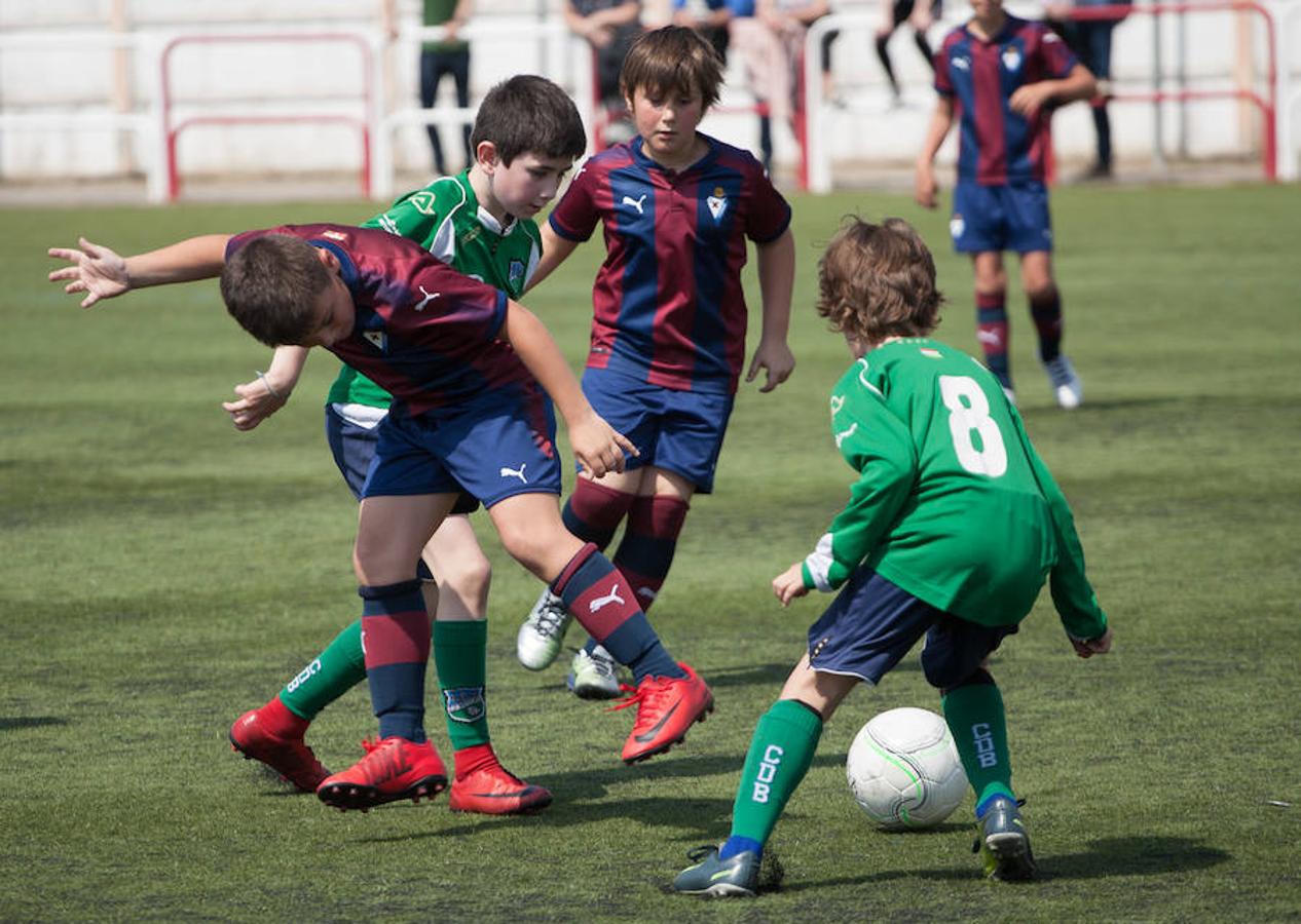 Alrededor de 500 niños de 32 equipos de fútbol 8 disputan el Torneo de fútbol benjamín (nacidos en el 2007 y 2008) que ha organizado el Varea con motivo de su 50 aniversario.