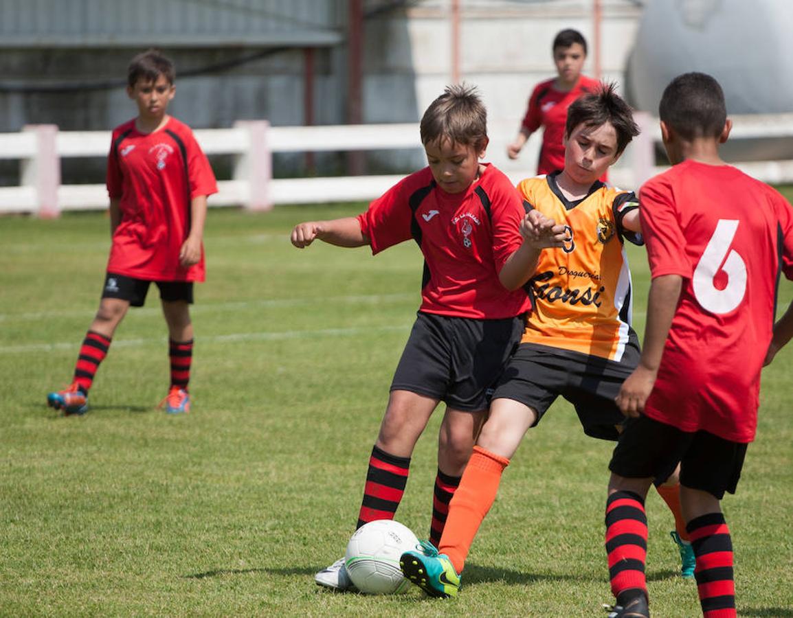 Alrededor de 500 niños de 32 equipos de fútbol 8 disputan el Torneo de fútbol benjamín (nacidos en el 2007 y 2008) que ha organizado el Varea con motivo de su 50 aniversario.