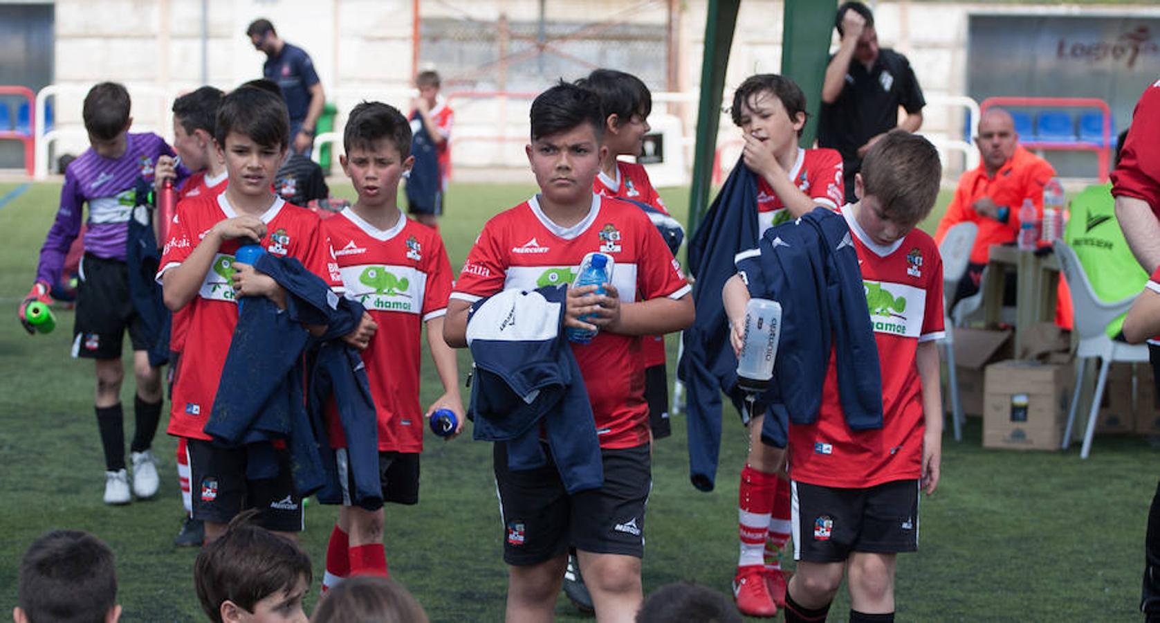 Alrededor de 500 niños de 32 equipos de fútbol 8 disputan el Torneo de fútbol benjamín (nacidos en el 2007 y 2008) que ha organizado el Varea con motivo de su 50 aniversario.