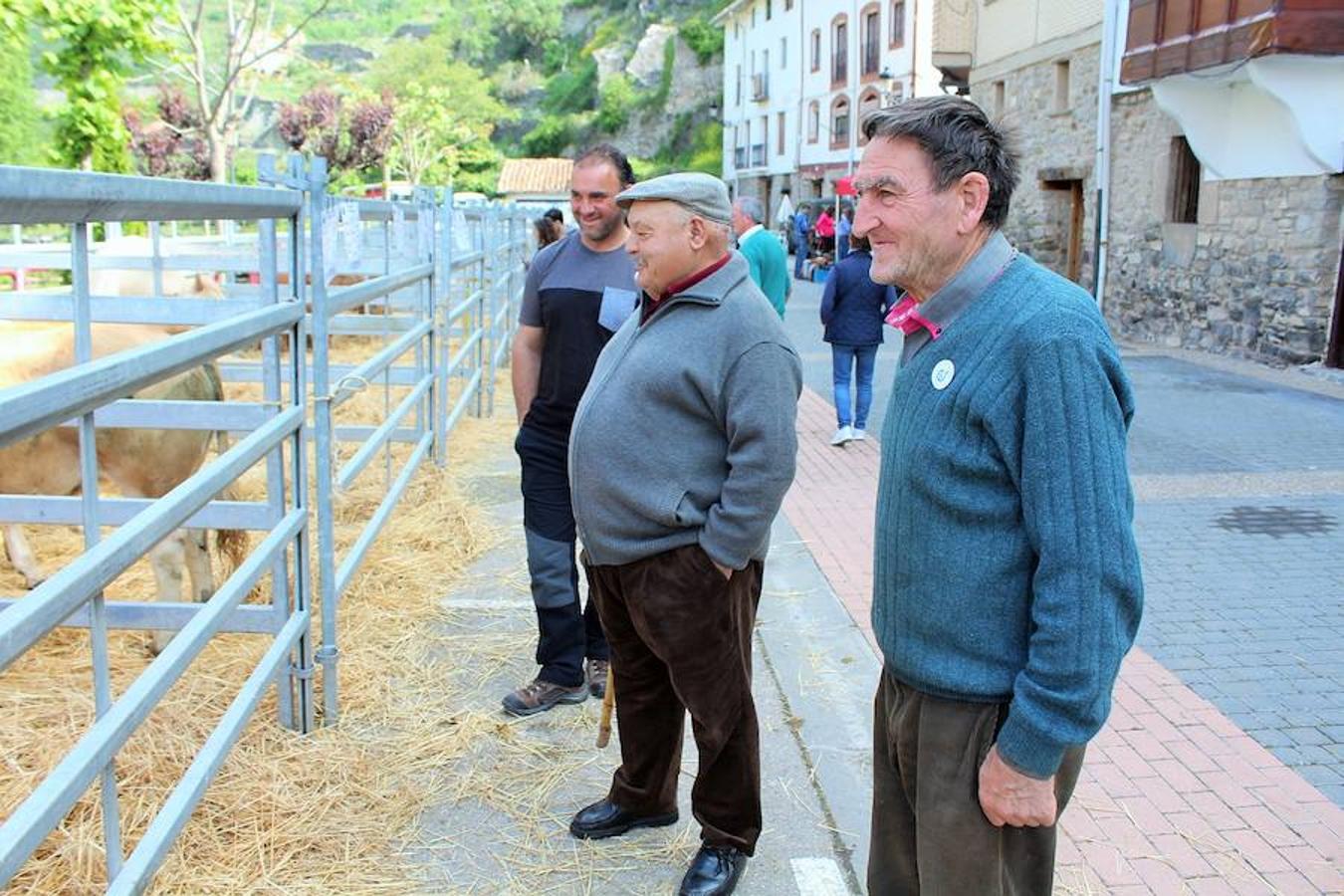 Soto en Cameros ha reeditado la tradicional feria del ganado loca. Una selección de distintas variedades de reses, de ganado caprino, ovino y caballar han sido expuestas en la plaza local en un ambiente festivo.