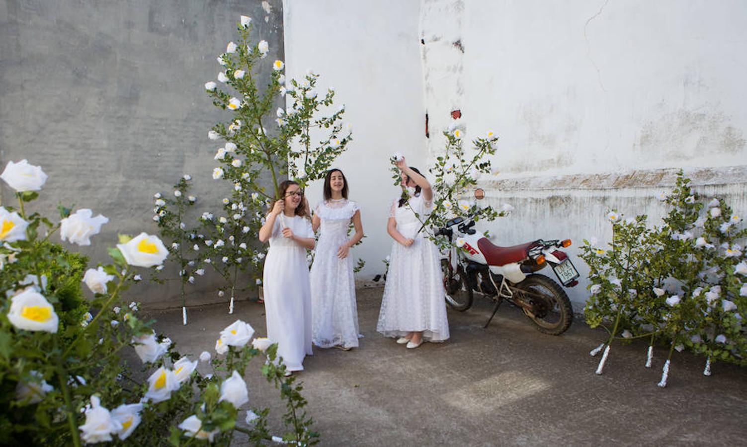 Tradicional procesión de las 100 Doncellas de Sorzan que ha vuelto a congregar a una gran cantidad de visitantes en una jornada de climatología perfecta.