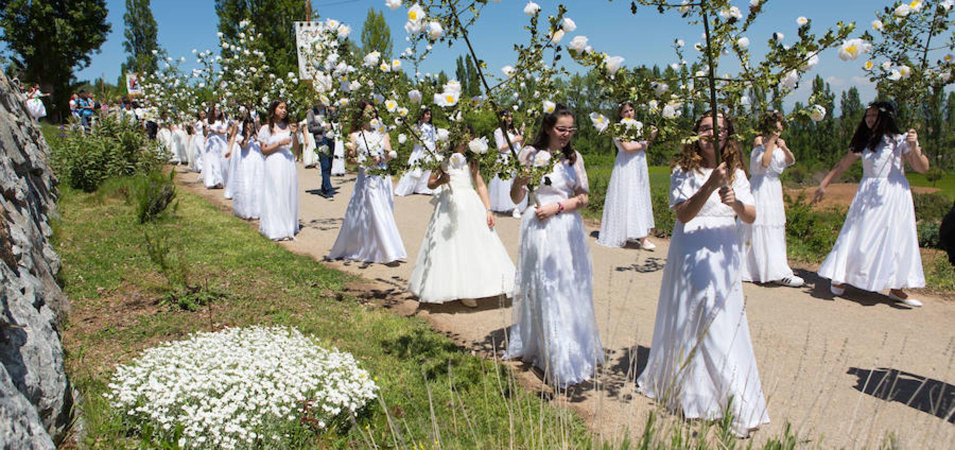 Tradicional procesión de las 100 Doncellas de Sorzano que ha vuelto a congregar a una gran cantidad de visitantes en una jornada de climatología perfecta.