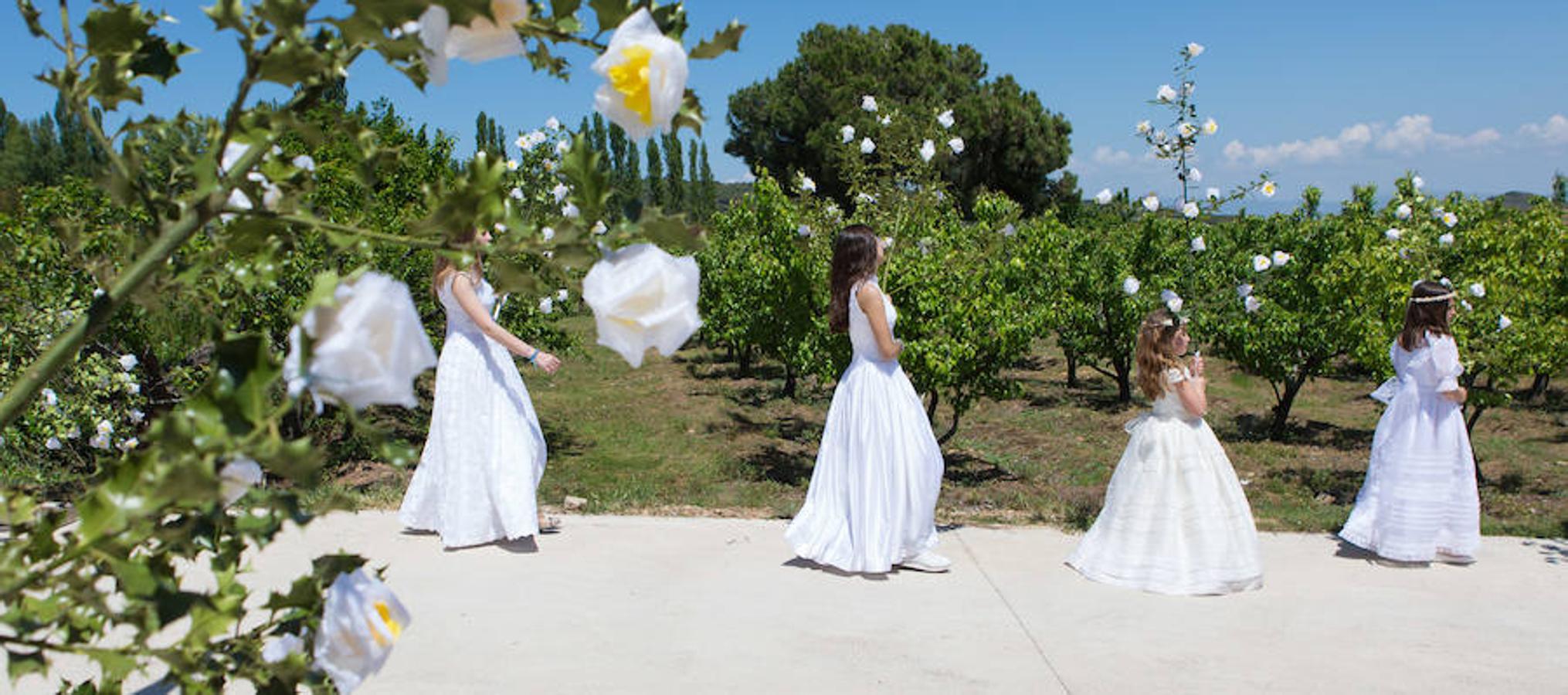 Tradicional procesión de las 100 Doncellas de Sorzano que ha vuelto a congregar a una gran cantidad de visitantes en una jornada de climatología perfecta.