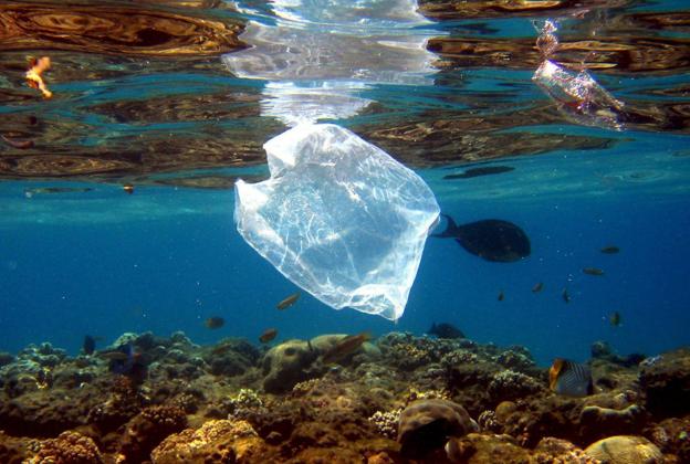 Varios objetos de plásticos se mueven al antojo de las mareas. 