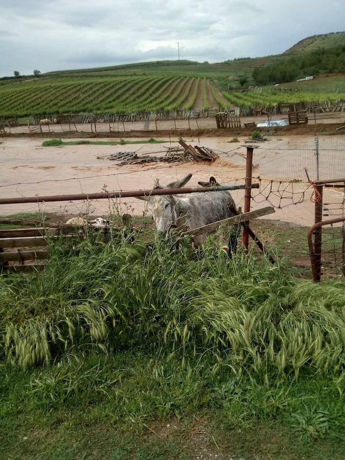 Finca en Villamediana. 