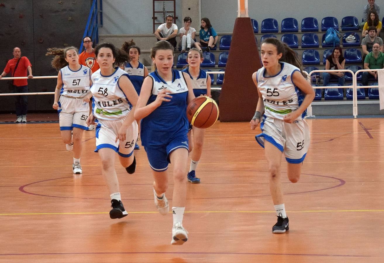 Fotos: Soria Basket y Maristas ganan el torneo Sanignacio