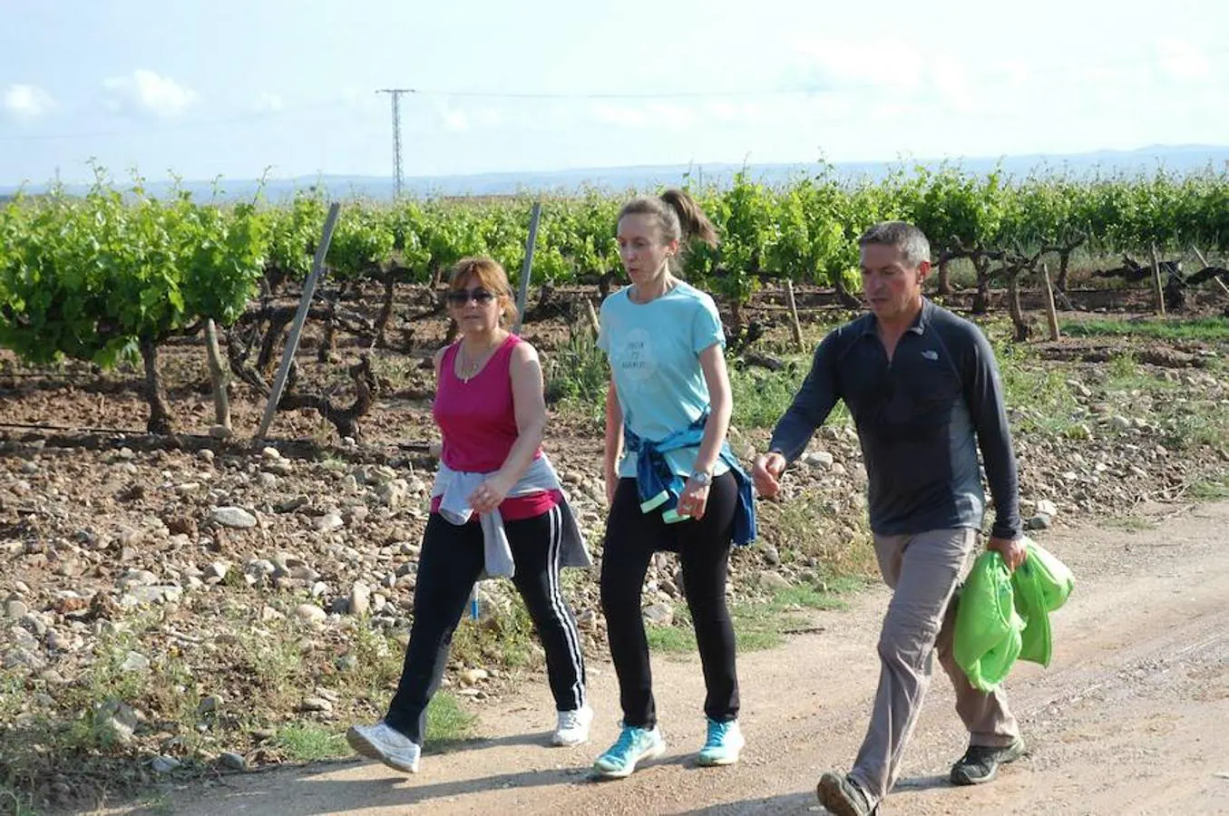 Marcha solidaria y carrera Runners & Wine del sábado por la mañana en Aldeanueva de Ebro.