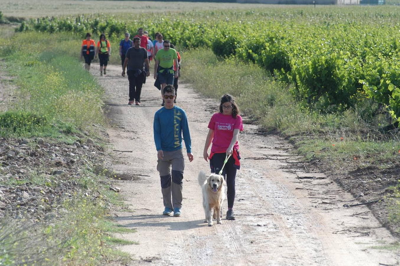 Marcha solidaria y carrera Runners & Wine del sábado por la mañana en Aldeanueva de Ebro.