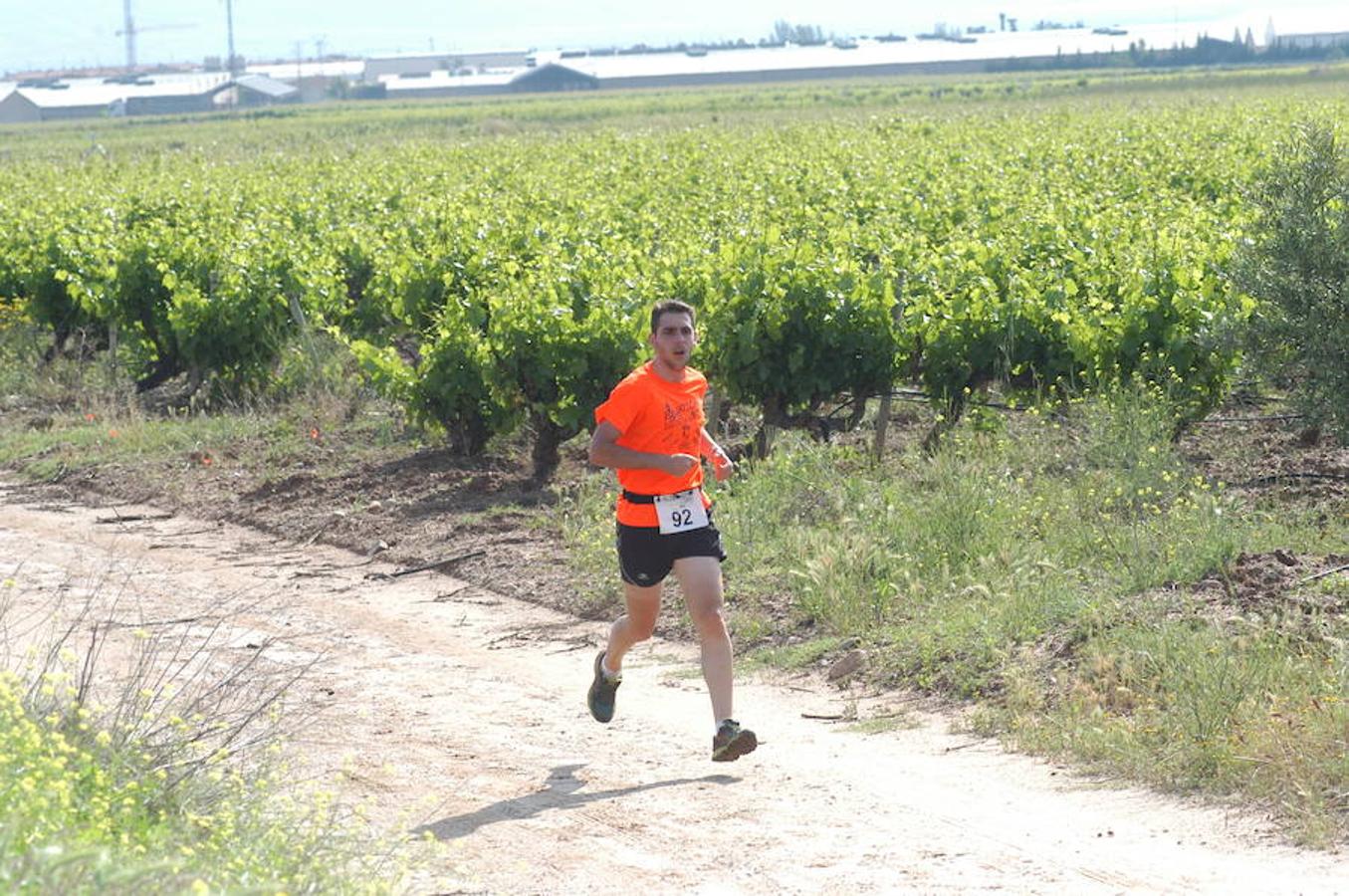 Marcha solidaria y carrera Runners & Wine del sábado por la mañana en Aldeanueva de Ebro.