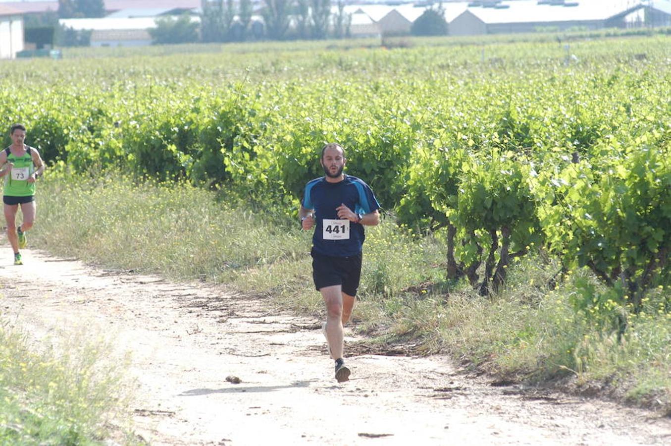 Marcha solidaria y carrera Runners & Wine del sábado por la mañana en Aldeanueva de Ebro.