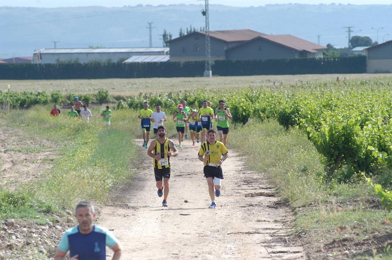 Marcha solidaria y carrera Runners & Wine del sábado por la mañana en Aldeanueva de Ebro.