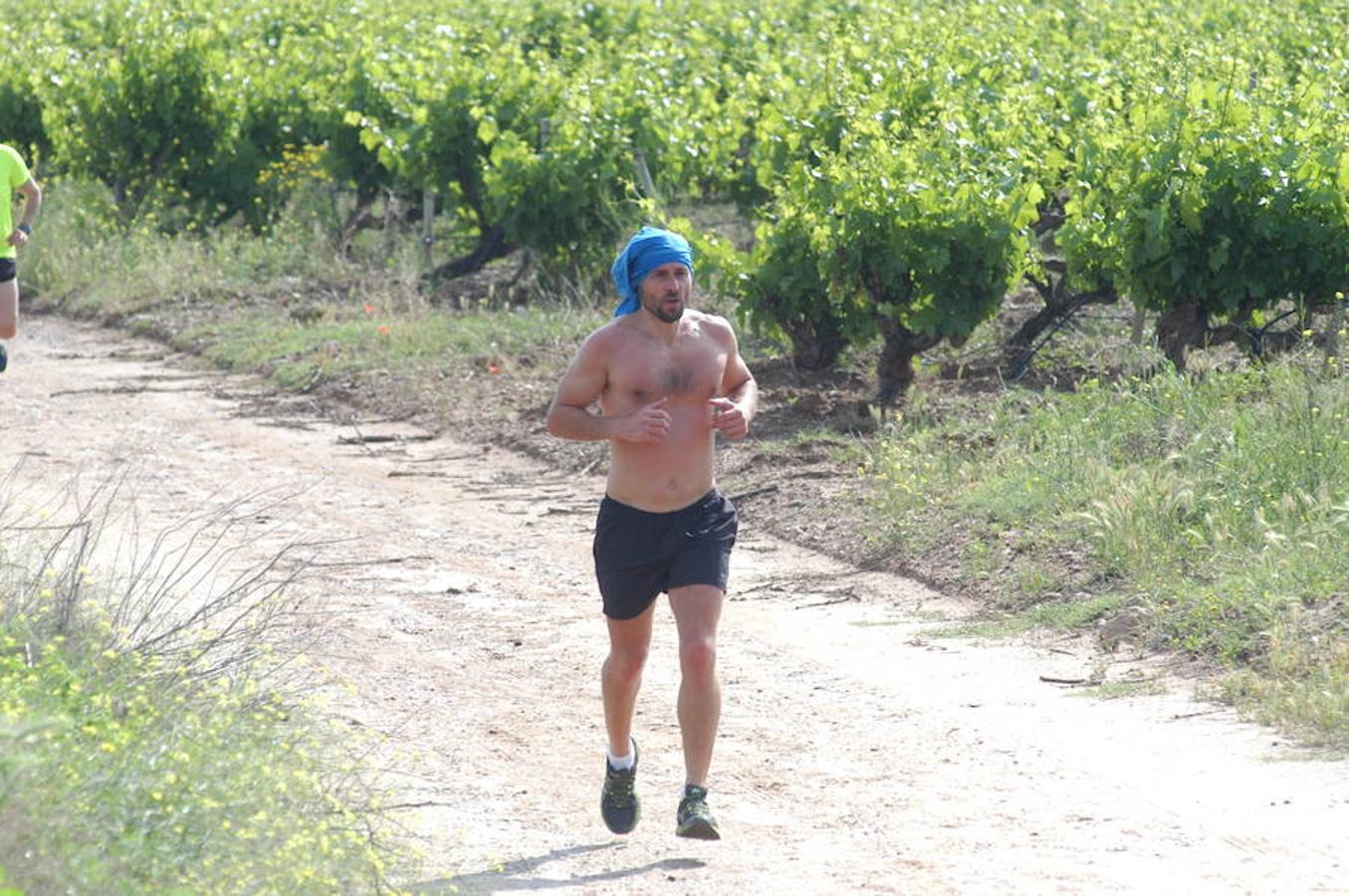 Marcha solidaria y carrera Runners & Wine del sábado por la mañana en Aldeanueva de Ebro.