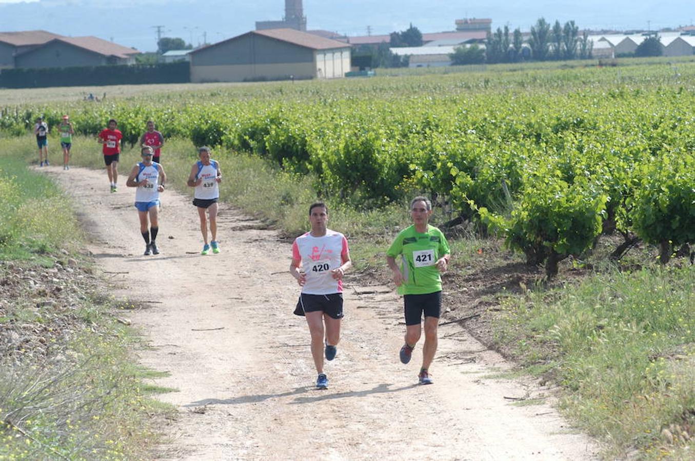 Marcha solidaria y carrera Runners & Wine del sábado por la mañana en Aldeanueva de Ebro.