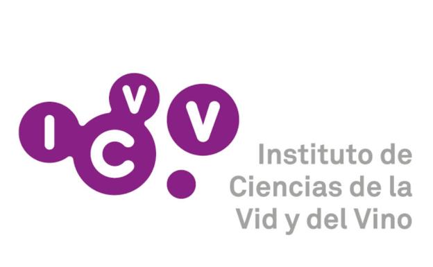 Seminario 'Orientaciones de las técnicas de cultivo hacia la rentabilidad del viñedo' 