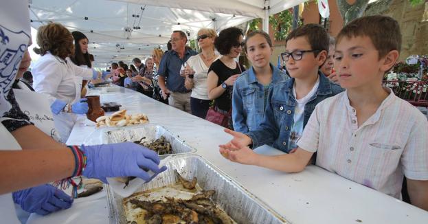 Programa de San Bernabé 2018 en Logroño: degustaciones, exposiciones, recomendaciones...