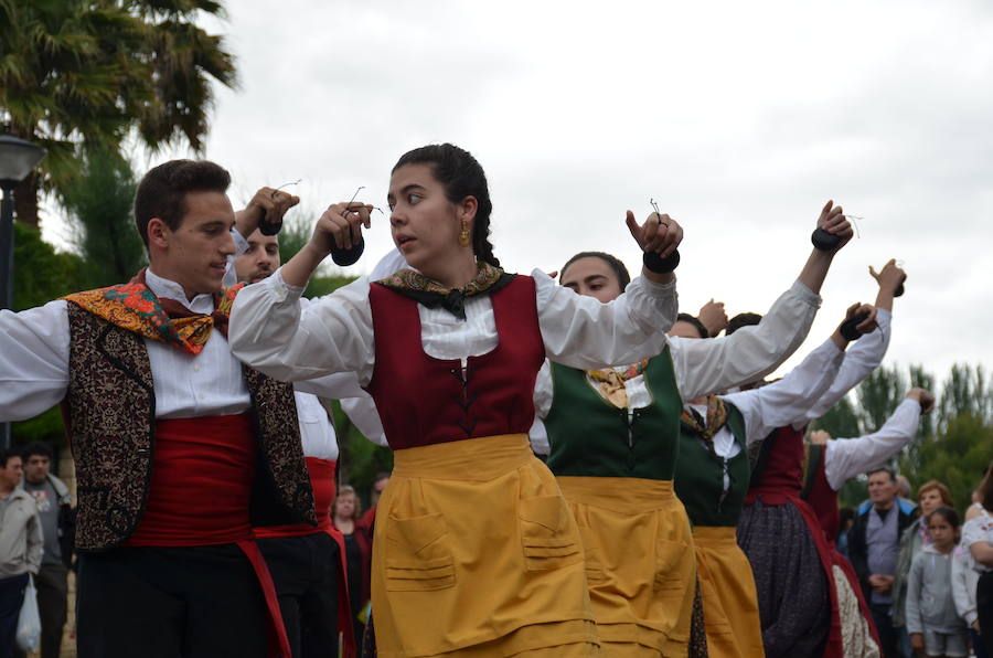 Tradición y folclore popular en Calahorra con motivo de la celebración del Día de La Rioja. La jornada matinal amenazó lluvia, pero no restó ilusión a los que decidieron participar en los actos.