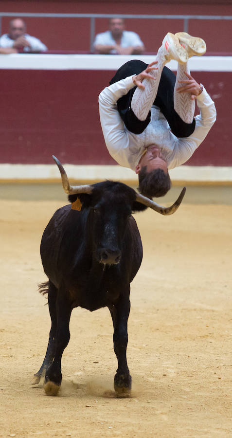 Los mejores recortadores del momento se han dado cita en la plaza de toros de La Ribera de Logroño para presenciar el fetejo taurino del prograna de San bernabé. Riesgo y vaquillas animaron a seguir de cerca las evoluciones de los valientes que decidieron pisar la arena.