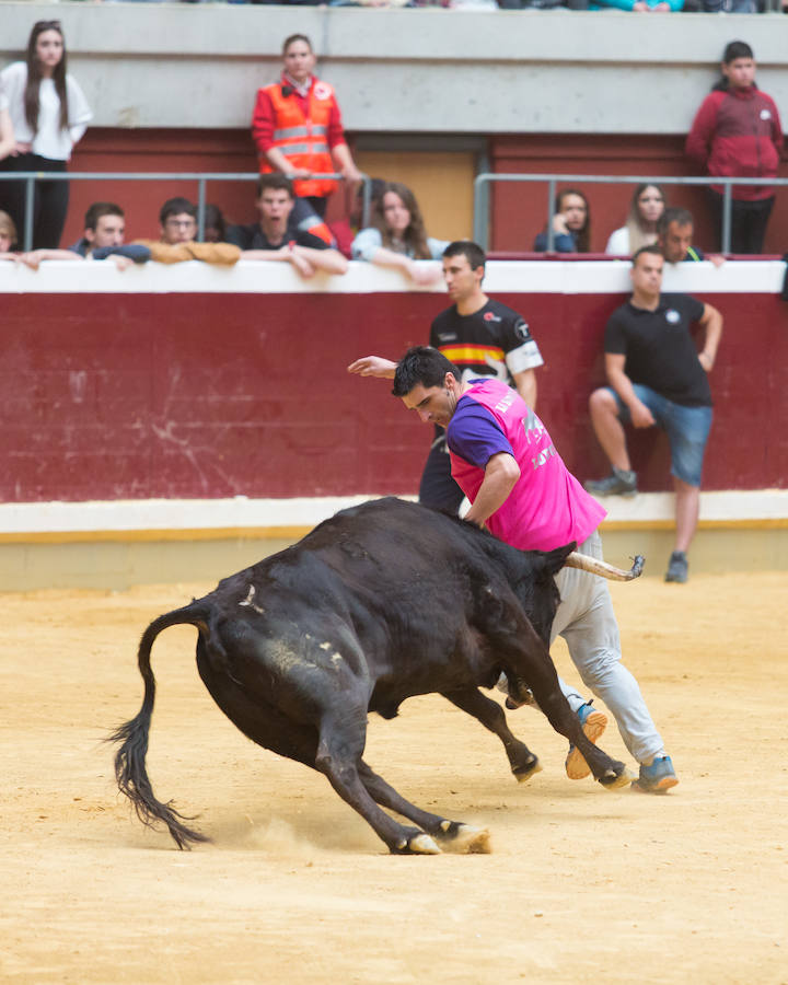 Los mejores recortadores del momento se han dado cita en la plaza de toros de La Ribera de Logroño para presenciar el fetejo taurino del prograna de San bernabé. Riesgo y vaquillas animaron a seguir de cerca las evoluciones de los valientes que decidieron pisar la arena.