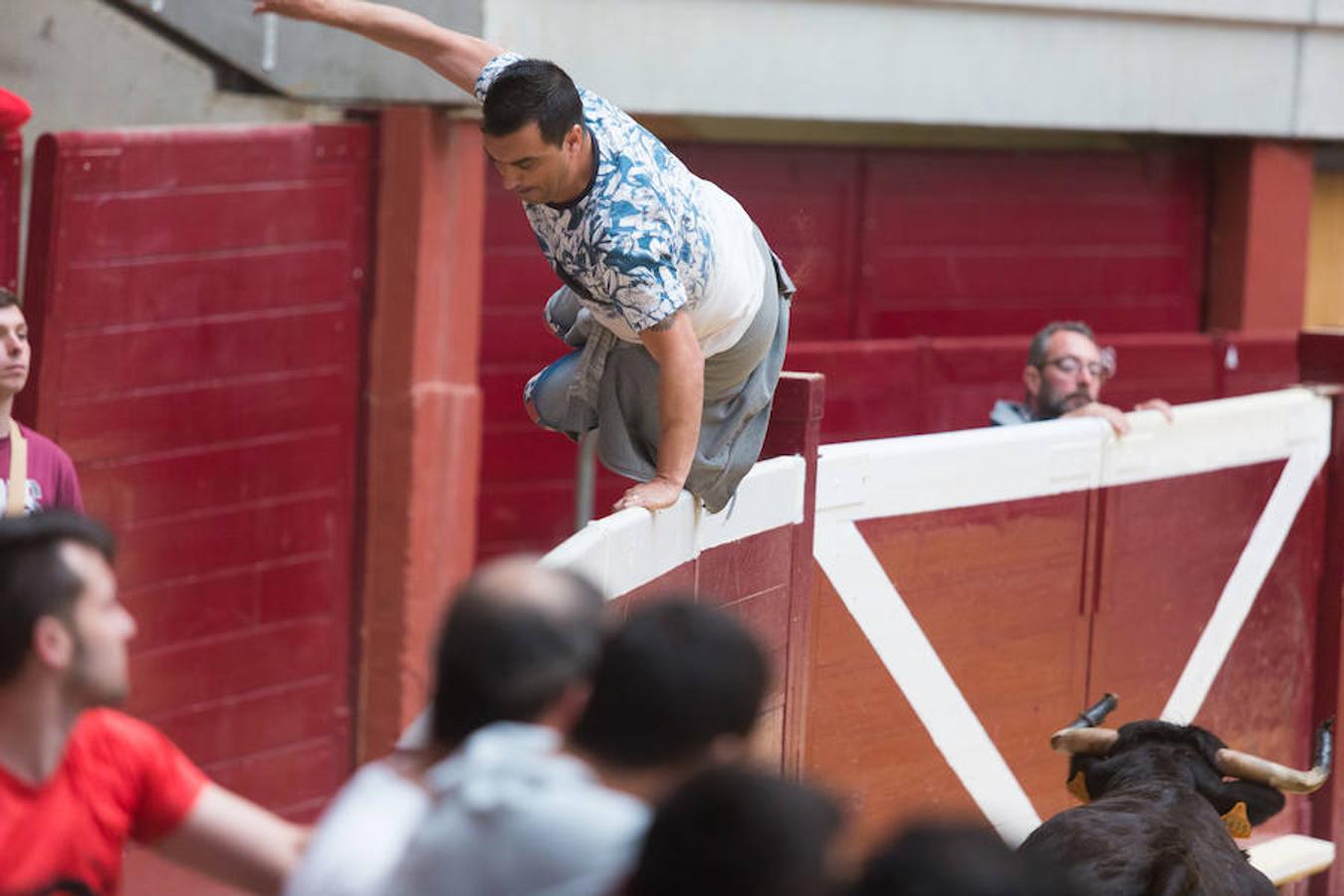 Los mejores recortadores del momento se han dado cita en la plaza de toros de La Ribera de Logroño para presenciar el fetejo taurino del prograna de San bernabé. Riesgo y vaquillas animaron a seguir de cerca las evoluciones de los valientes que decidieron pisar la arena.