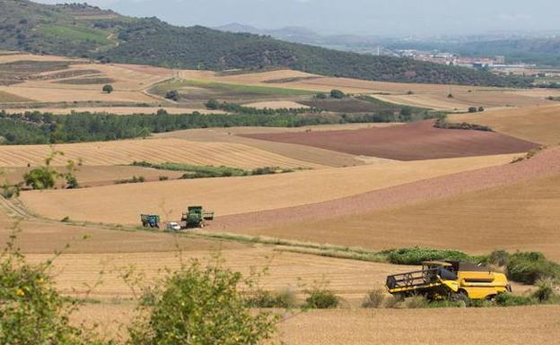 La Rioja se juega cerca de 55 millones anuales con la reforma de la Política Agraria