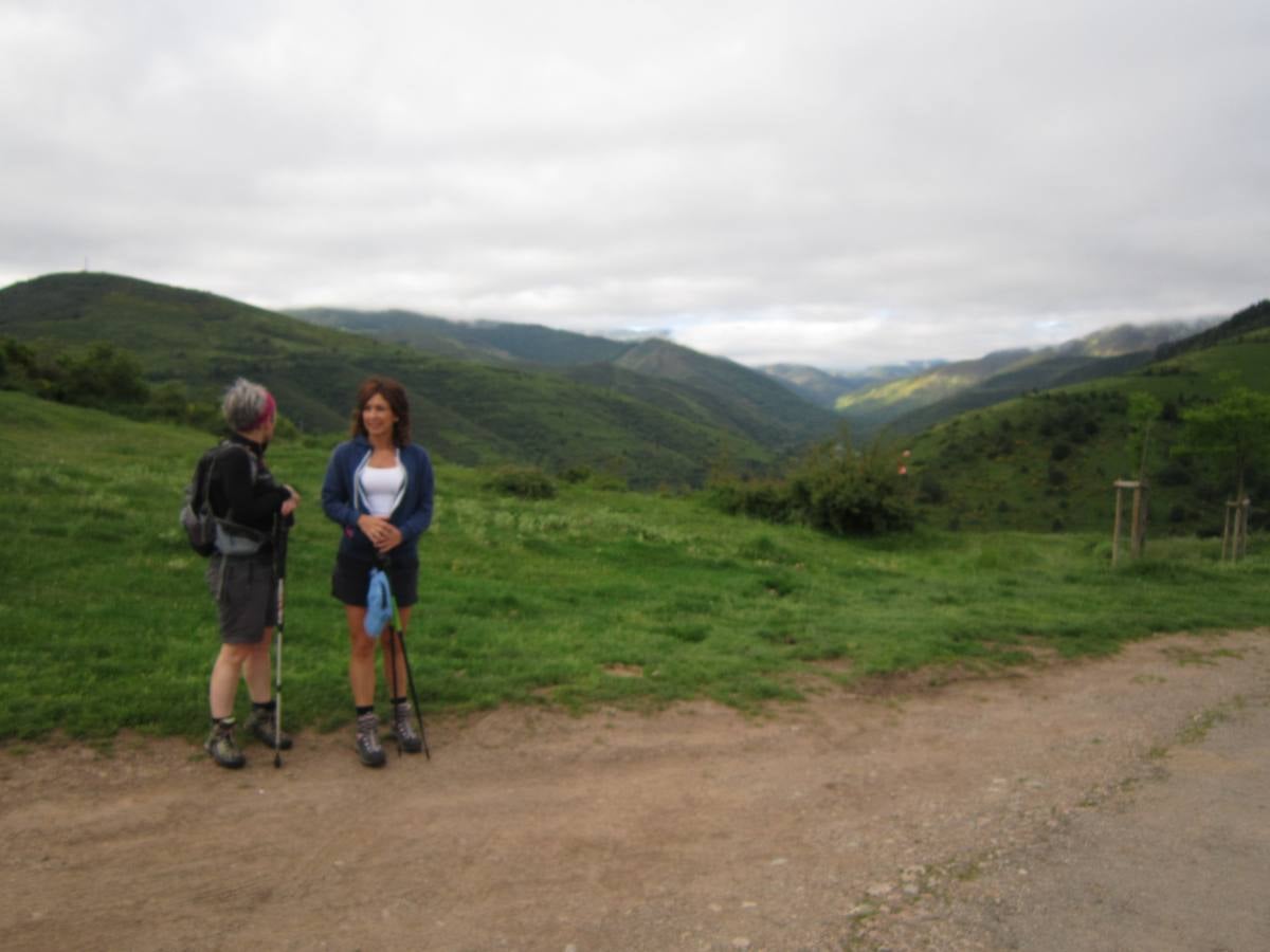 Unas 1.300 personas participaron en la suma de las dos marchas senderistas que recorrieron los montes de la Demanda. La 'Valle de Ezcaray. Memorial Javi Valgañón y Travesía infantil en una actividad organizada por los 'Amigos de Ezcaray'