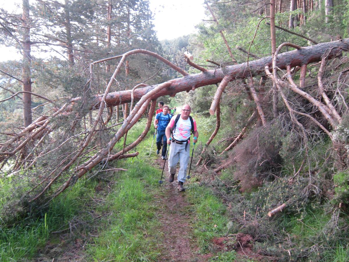 Unas 1.300 personas participaron en la suma de las dos marchas senderistas que recorrieron los montes de la Demanda. La 'Valle de Ezcaray. Memorial Javi Valgañón y Travesía infantil en una actividad organizada por los 'Amigos de Ezcaray'