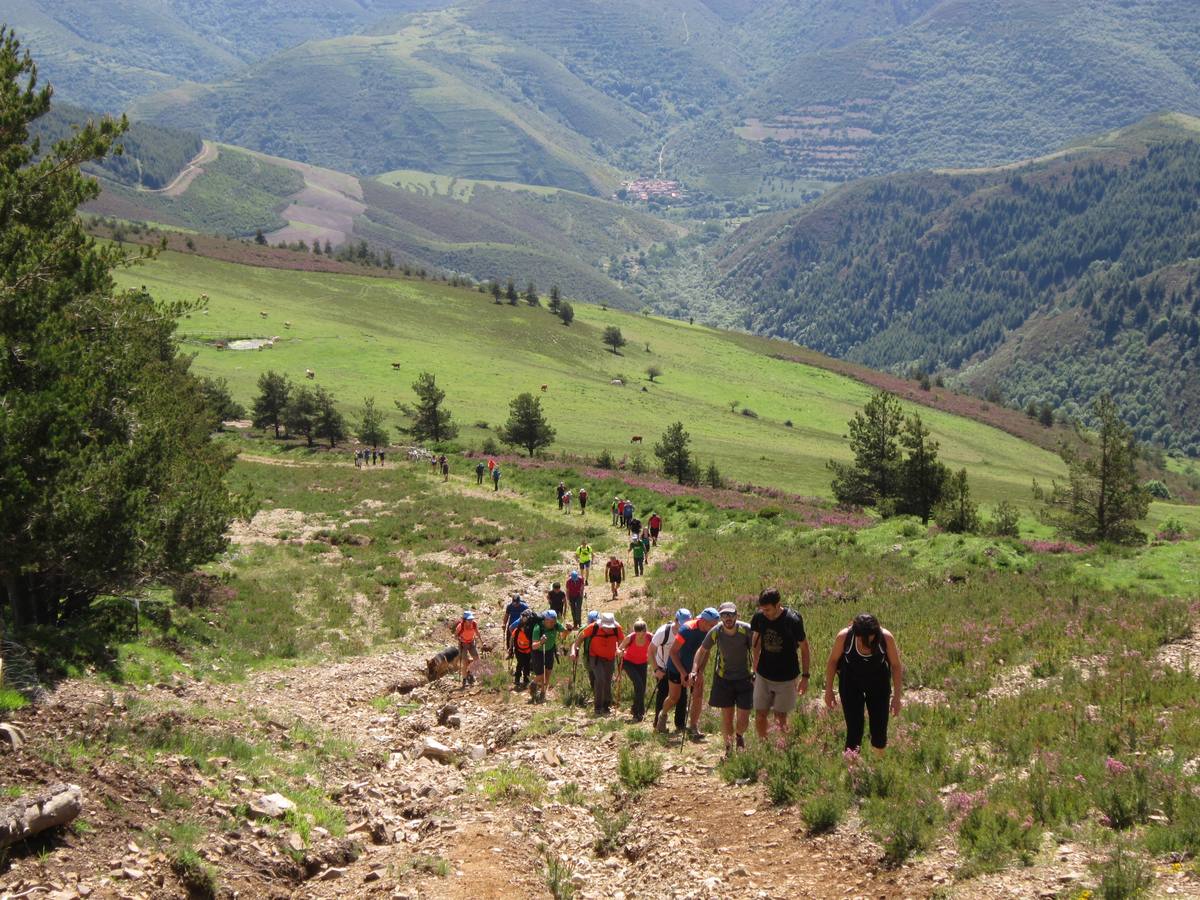 Unas 1.300 personas participaron en la suma de las dos marchas senderistas que recorrieron los montes de la Demanda. La 'Valle de Ezcaray. Memorial Javi Valgañón y Travesía infantil en una actividad organizada por los 'Amigos de Ezcaray'